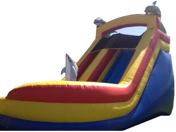 Mega Dolphin Water Slide - Image 2