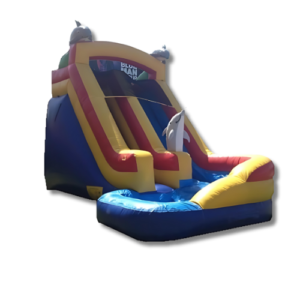 Mega Dolphin Water Slide